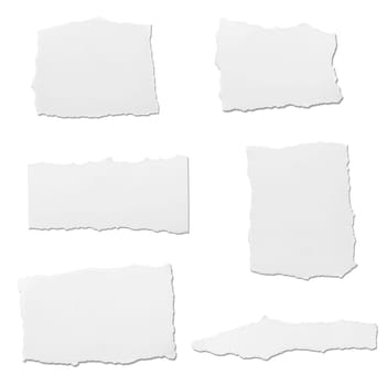 collection of white ripped pieces of paper on white background. each one is shot separately