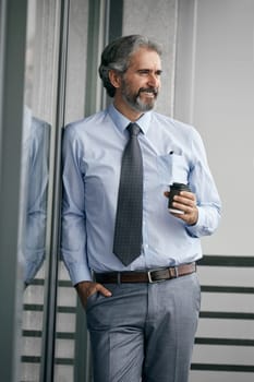portrait of a senior busniessman in suit. business concept with grey hair elderly businessman