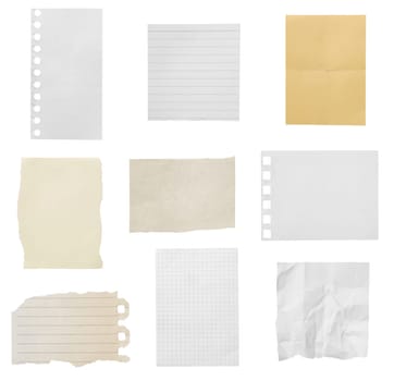 collection of various ripped pieces of paper on white background. each one is shot separately