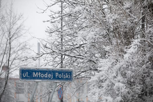 Close-up of the information board containing the street name. Blue information board against a background of snow-covered trees. Winter season. Snow lying on the branches of leafless trees