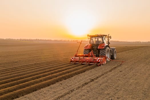 Tractor drives across large field making special beds for sowing seeds into purified soil. Agricultural vehicle works at sunset in countryside