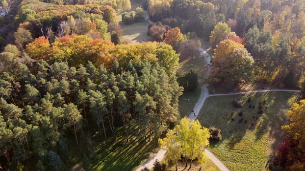 Flying over trees with yellow and green leaves in a park with dirt paths and people walking on a sunny autumn day. Forest wood woodland nature natural sunlight sunshine. Aerial drone view. Top view.