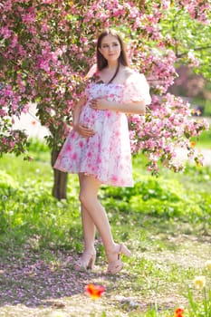 cute smiling brunette pregnant young woman, in light pink dress, is standing near a pink blooming apple trees, in the spring in the garden. Looks to the side. Vertical. Copy space