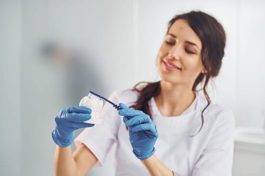 Brush and tooth. Portrait of professional female dentist with equipment that standing indoors.