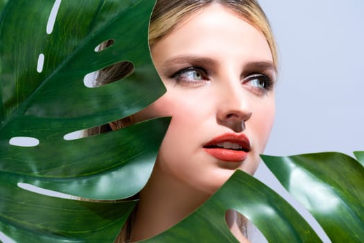 Closeup woman with perfect clean skin and alluring flawless natural soft facial makeup holding green leave monstera. Natural skincare treatment beauty or spa concept in isolated background.