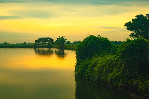 Golden hour during sunrise over the lake with trees in Gresik, East Java. Indonesia. Long Exposure Photography.