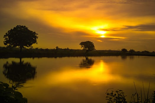 Golden hour during sunrise over the lake with trees in Gresik, East Java. Indonesia. Long Exposure Photography.