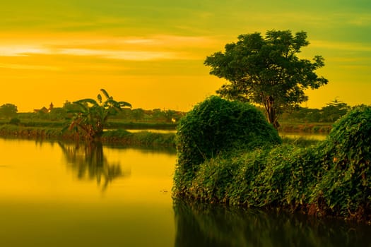 Golden hour during sunrise over the lake with trees in Gresik, East Java. Indonesia. Long Exposure Photography.