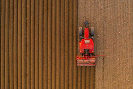 Tractor pulls subsoiler to prepare beds for sowing grain in cultivated field at sunset. Agricultural machinery operates in countryside