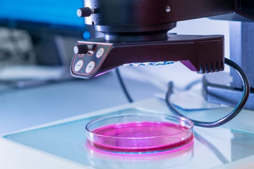 A modern electronic microscope for examing samples in Petri dish in the biochemical or medical laboratory.