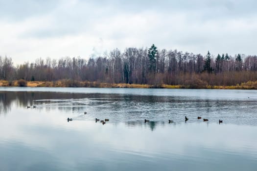 Autumn landscape by the lake and shore. Pond in autumn, yellow leaves, reflection. High quality photo