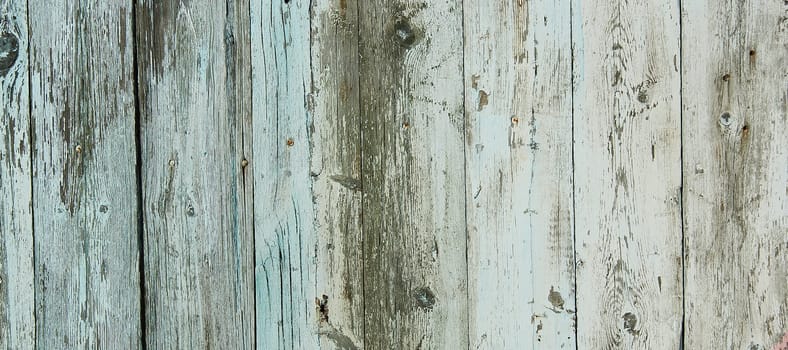 texture of old wooden surface with peeling blue paint