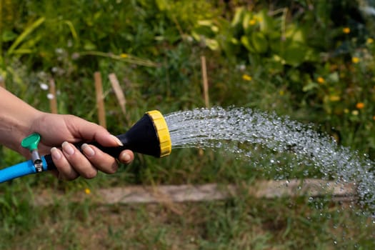 Drops of water jet from a watering hose and a divider. Women's hands. Watering and caring for plants in the garden.