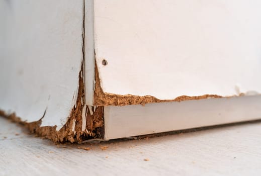 A neglected white wooden bookshelf with layers of peeling paint due to humidity, giving the material a corroded texture.