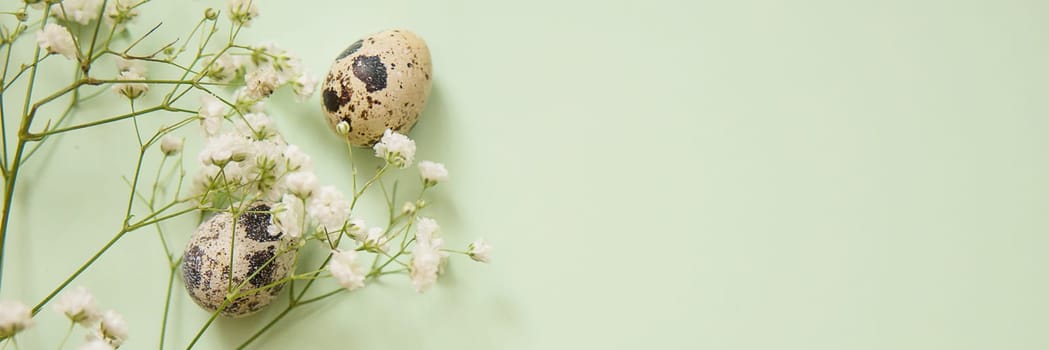 Easter background, quail eggs on a mint background, decorated with natural botanical elements, flat lay, view from above, empty space for text