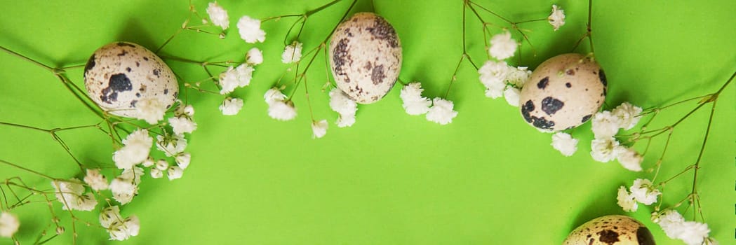Easter background, quail eggs on a green background, decorated with natural botanical elements, flat lay, view from above, empty space for text