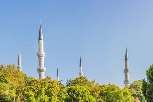 The Blue Mosque, Sultanahmet Camii Istanbul Turkey.