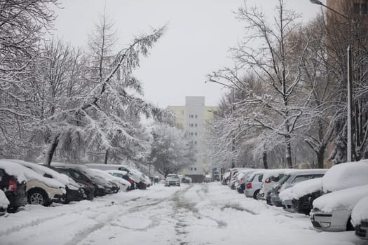 A large number of parked cars standing in the parking area. The cars are covered with a layer of fresh snow. Snow has fallen on the street, sidewalks and trees. Snow-covered treetops.
