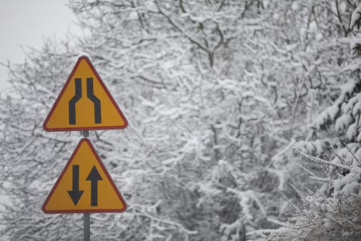 Two red and yellow triangle-shaped road signs are visible in the foreground. Snow-covered treetops in the background. Leafless tree branches in winter covered with a layer of snow.