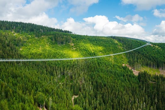 Sky Bridge 721 is the longest suspension bridge between two hills in the forest, Dolni Morava, Czech Republic . One way footbridge in touristic place in the forest in summer.