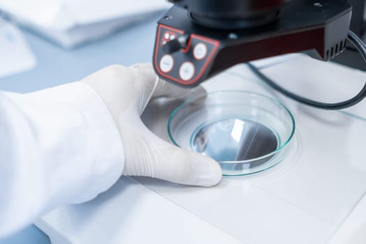 Scientist examining sample in Petri dish with a microscope. Modern biological laboratory