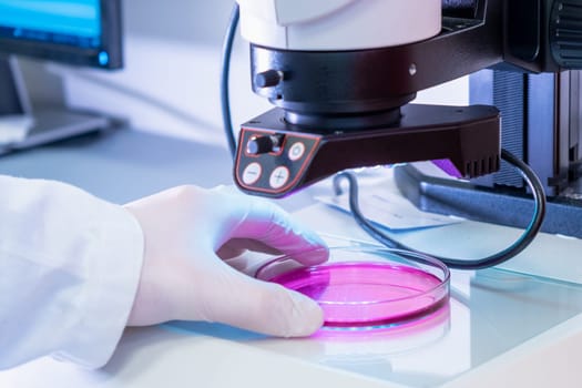 Scientist in latex gloves and lab coat putting samples under electronic microscope for testing or examination in microbiological or chemical laboratory.