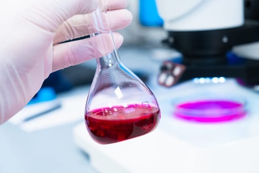 Round flask with colored liquid or blood sample in scientist hand in rubber gloves in a modern laboratory with a microscope on the background.