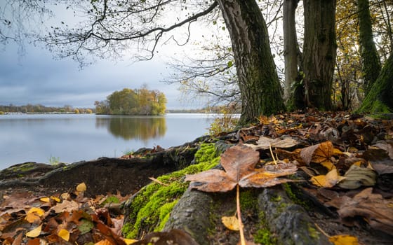Panoramic image of Unterbach lake close to Dusseldorf during autumn, Germany