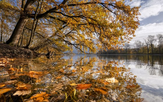 Panoramic image of Unterbach lake close to Dusseldorf during autumn, Germany