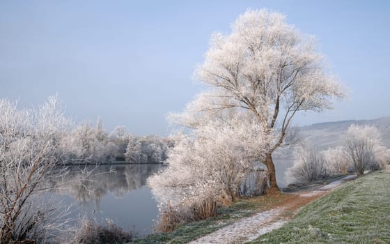 Panoramic image of Moselle river on a winter day, Rhineland-Palatinate, Germany