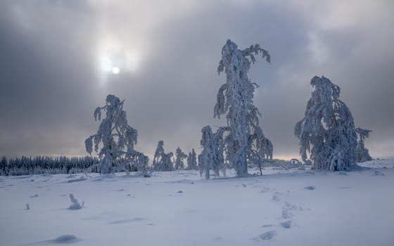 Panoramic landscape image of Kahler Asten during wintertime, Sauerland, Germany