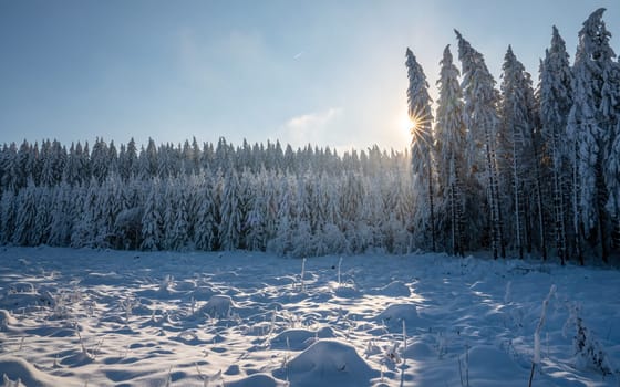 Panoramic landscape image of Kahler Asten during wintertime, Sauerland, Germany