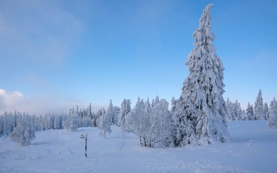 Panoramic landscape image of Kahler Asten during wintertime, Sauerland, Germany