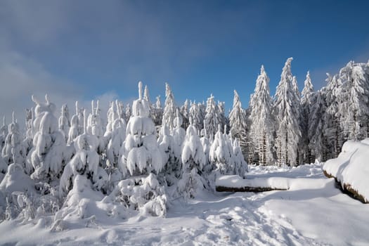 Panoramic landscape image of Kahler Asten during wintertime, Sauerland, Germany