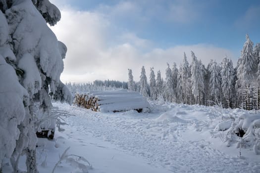 Panoramic landscape image of Kahler Asten during wintertime, Sauerland, Germany