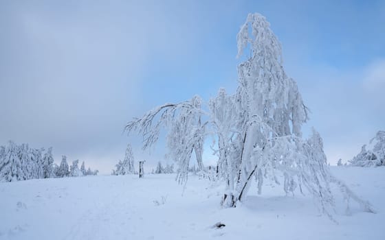 Panoramic landscape image of Kahler Asten during wintertime, Sauerland, Germany