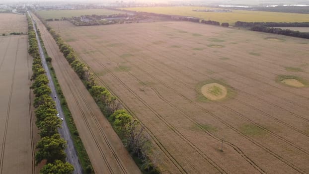 Beautiful panoramic landscape agricultural fields of ripe wheat,road with moving cars, industrial plants, forest, city on summer evening. Agricultural agrarian scenery. Aerial drone view. Top view.