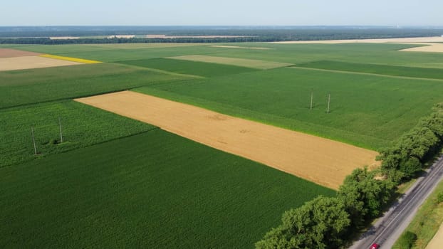 Agricultural fields. Yellow and green agricultural fields with ripe wheat and other different agricultural crops. Aerial drone view. Harvesting agrarian land. Growing cultivation agricultural crops.