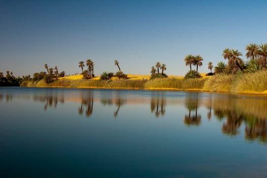 Ubari oasi in the Sahara desert, Fezzan, Libya, Africa