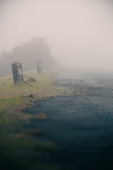 A beautiful morning fog softly cascades over the horizon, creating a serene environment as nature awakens to dawn.