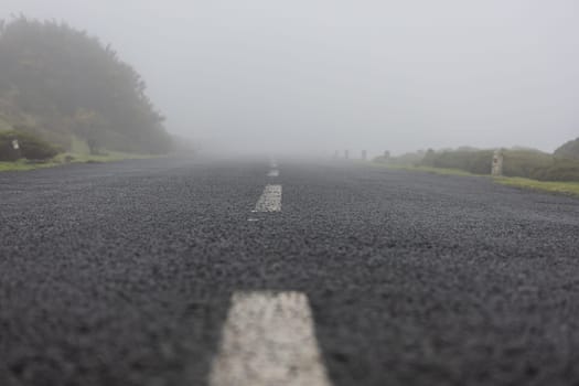 Early morning fog obscures the road, adding a mysterious feel to this transportation scene.