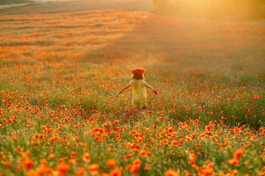 Happy girl poppy field walks under the evening sun. Back view.