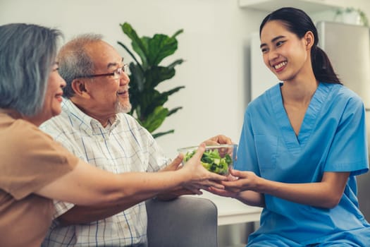 A female nurse serves a bowl of salad to a contented senior couple. Health care and medical assistance for the elderly, nursing home for pensioners.