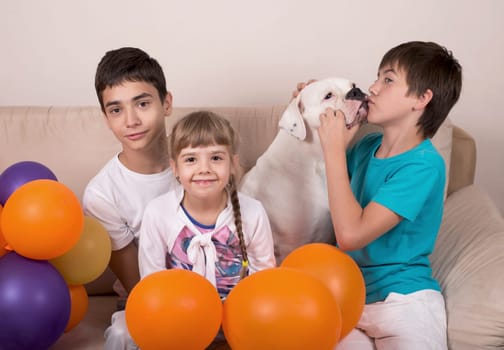 People and animals. Happy, cheerful children and an American bulldog dog sit on a bright sofa in the living room.