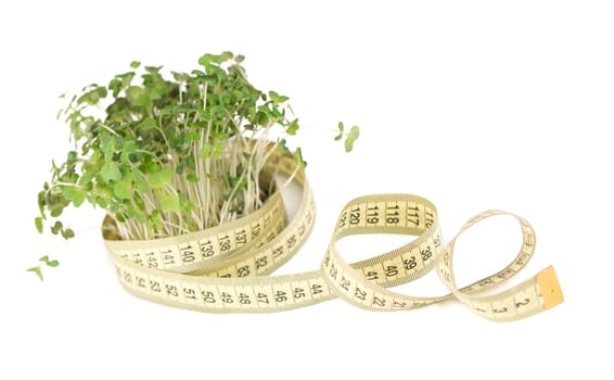 Mustard microgreens, super food. A bunch of mustard greens is wrapped in a yellow centimeter tape. Microgreens promote weight loss, diet, balanced nutrition