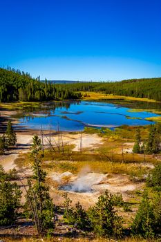 Nymph Lake and Roadside spring, in Yellowstone National Park