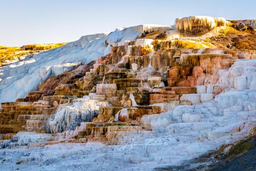 Travertine terraces at Mammoth Hot Springs, Yellowstone National Park