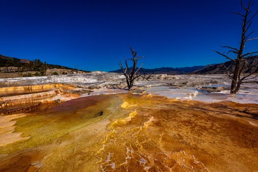 Angel Terrace at Mammoth Hot Springs, in Yellowstone National Park