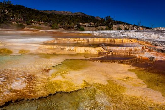 Angel Terrace at Mammoth Hot Springs, in Yellowstone National Park