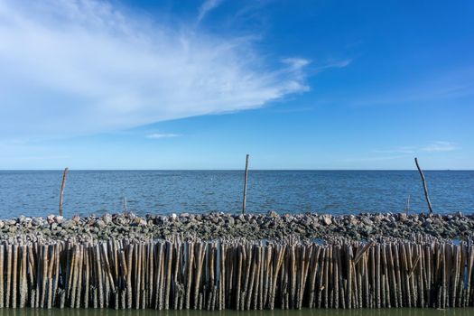 Dried bamboo together into the sea. Prevent coastal erosion from seawater.